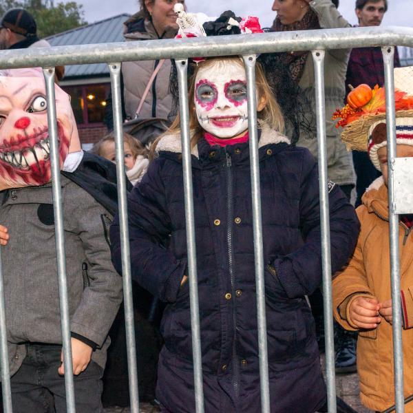Réalisation - Festivités